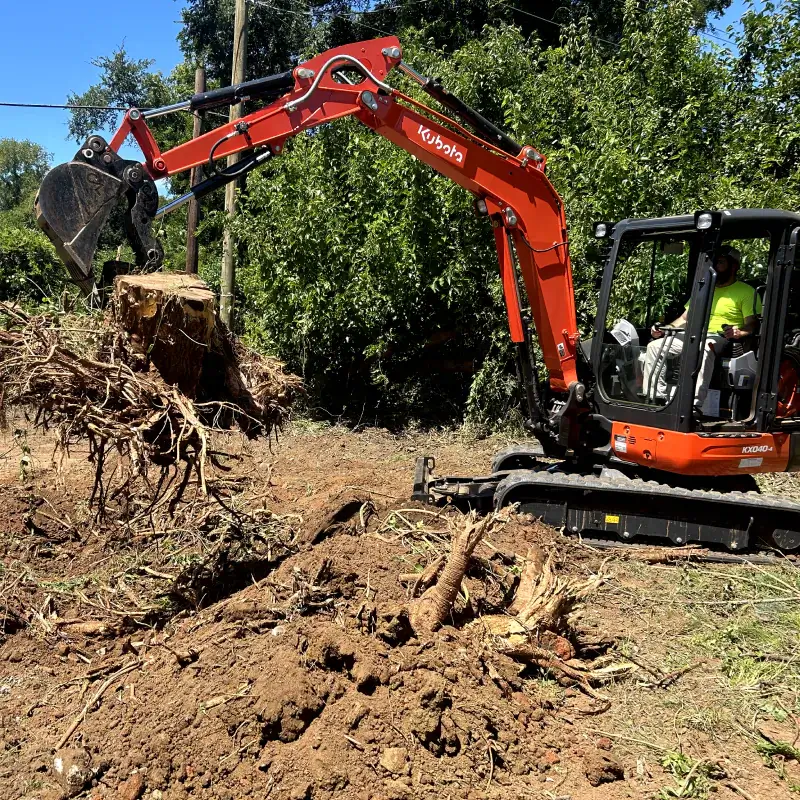 orange excavator moving tree roots